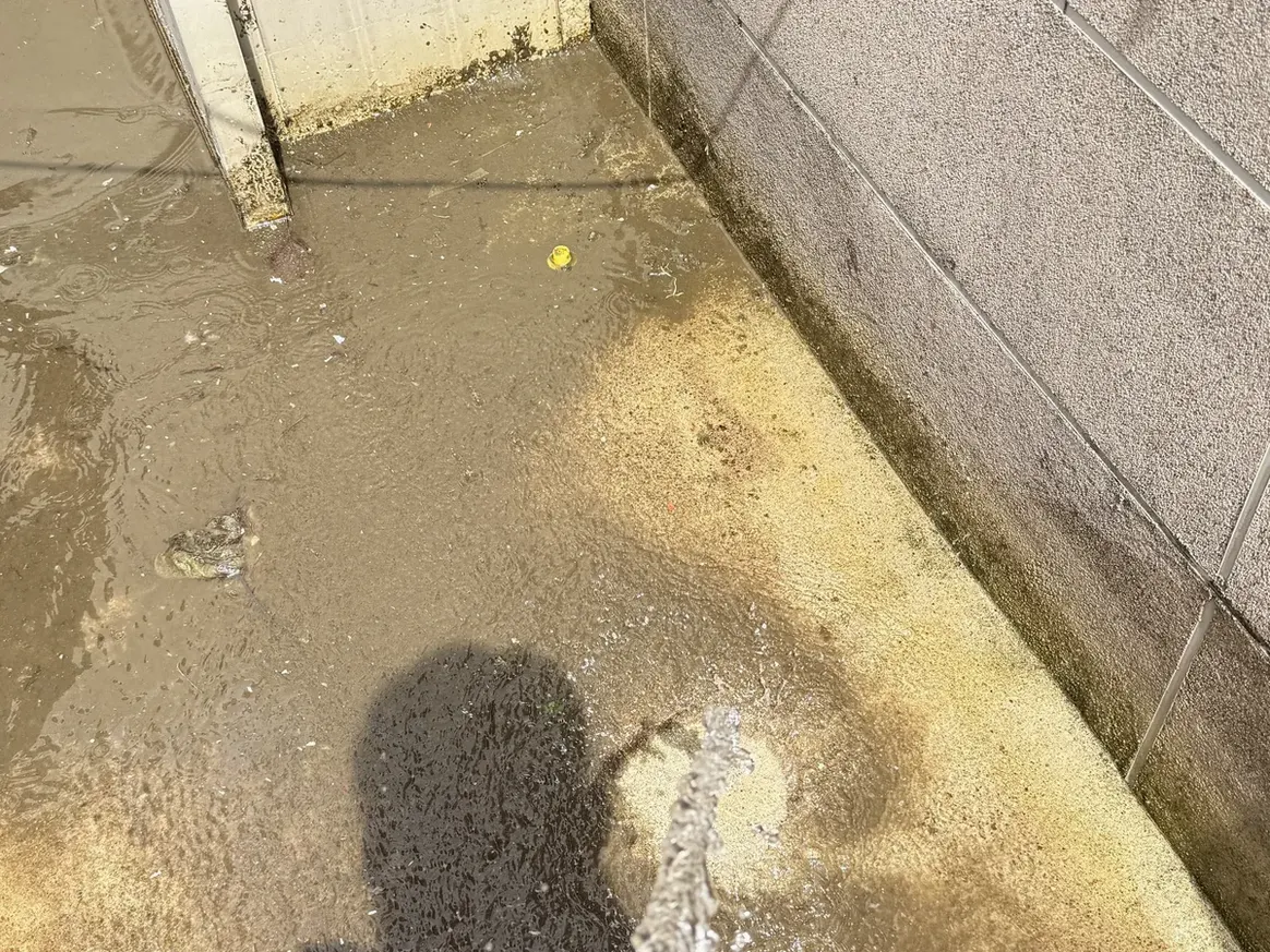 영양군 청기면 배관 관리실·기계실 위생청소 사례 - 행진크린